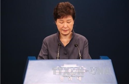 Tổng thống Hàn Quốc sẽ phát biểu về bê bối chính trị 