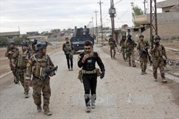 Các lực lượng Iraq giành lại 6 quận ở phía Đông Mosul 