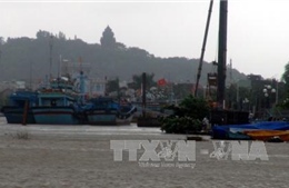 Khẩn trương ứng cứu tàu cá và ngư dân gặp nạn gần đảo Phú Quý