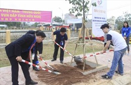 Trồng cây vun đắp tình hữu nghị thanh niên Việt - Trung
