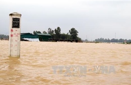 Cảnh báo lũ các sông từ Nghệ An đến Quảng Bình
