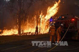 Cháy rừng nghiêm trọng ở Australia