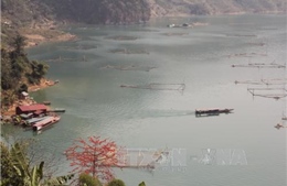 Đầu tư 20.000 tỷ đồng khai thác vùng lòng hồ các thủy điện tại Sơn La