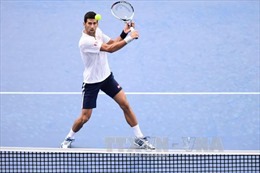 Murray và Djokovic - Ai lợi thế hơn tại giải "bát hùng"?