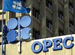 OPEC "tiến thoái lưỡng nan" sau chiến thắng của ông Donald Trump