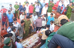 Phản đối hành vi dùng vũ lực với tàu cá và ngư dân Việt Nam