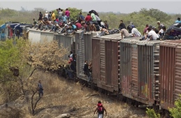 Mỹ đối phó với dòng người nhập cư bất hợp pháp từ Mexico