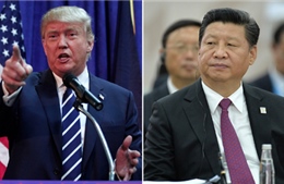 Chủ tịch Trung Quốc và Tổng thống đắc cử Trump đồng ý sớm gặp mặt 