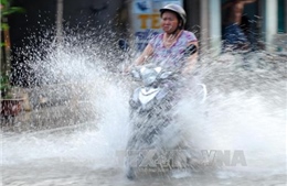 Nam Bộ, Tây Nguyên, ven biển Nam Trung Bộ có mưa trên diện rộng
