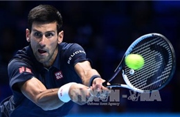 Cán mốc 30 trận thắng ATP, Djokovic tạm giữ ngôi vương 