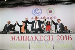 Hội nghị COP22 ra tuyên bố kêu gọi cam kết chính trị cao nhất