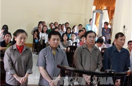 Nguyên Chủ tịch Hiệp hội Lương thực Việt Nam lĩnh án 13 năm tù
