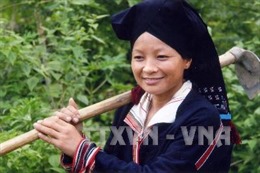 Biểu dương đồng bào dân tộc thiểu số Phú Thọ