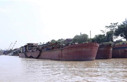 Bắt giữ 14 tàu khai thác, vận chuyển cát trái phép trên sông Hồng