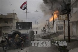 An ninh Iraq tiêu diệt 43 phần tử IS trong chiến dịch Mosul