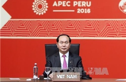 Việt Nam đăng cai APEC 2017 thể hiện sự tín nhiệm cao của cộng đồng quốc tế 