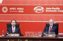 Bài phát biểu của Chủ tịch nước tại Phiên bế mạc APEC 2016 