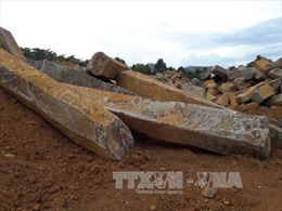 Khẩn trương điều tra vụ khai thác đá không phép tại Đắk Nông