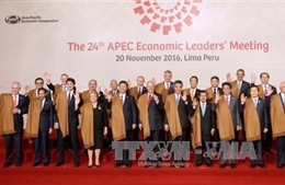 Các thành viên APEC đặt kỳ vọng vào Năm APEC 2017 ở Việt Nam 