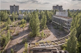 Trung Quốc tham vọng xây nhà máy năng lượng tại vùng cấm Chernobyl