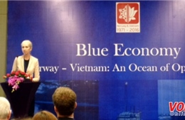Việt Nam và Na Uy  tăng cường hợp tác phát triển kinh tế biển 