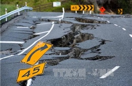 Động đất 6,1 độ ríchte ở Nhật Bản