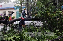 Hà Nội khắc phục hậu quả cây đổ trên đường Điện Biên Phủ