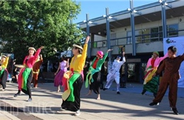 Sôi động lễ hội văn hóa Việt Nam tại Canberra, Australia