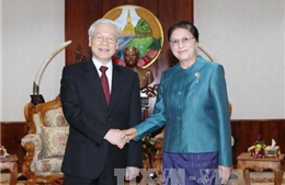 Tổng Bí thư Nguyễn Phú Trọng hội kiến Chủ tịch Quốc hội Lào 