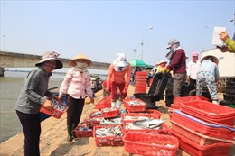 Tiền Giang hỗ trợ ngư dân bám biển  