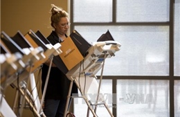 Đảng Xanh yêu cầu kiểm lại phiếu tại bang Wisconsin