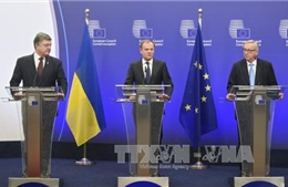 EU cấp 180 triệu USD giúp Ukraine thúc đẩy pháp quyền