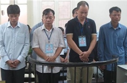 "Phù phép" đất công, nguyên cán bộ huyện Thạch Thất nhận án tù