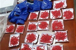 Quảng Ninh bắt giữ đối tượng vận chuyển 1 kg ma túy 
