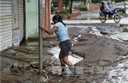 Panama và Mỹ trợ giúp Costa Rica cứu hộ sau bão Otto