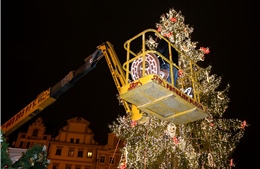 Biểu tượng Giáng sinh 2016 đã về với Praha