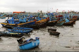 31 tàu cá Bình Định vào trú bão tại một số quần đảo Philipines