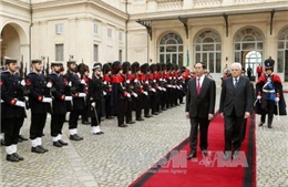 Nhận định kết quả chuyến thăm Italy của Chủ tịch nước Trần Đại Quang