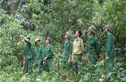 Quản lý, bảo vệ rừng hiệu quả