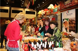 Việt Nam tích cực tham gia Hội chợ Giáng sinh từ thiện Praha 2016