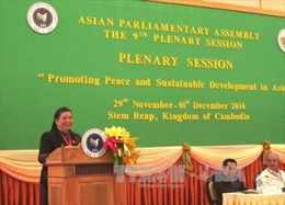 Phó Chủ tịch Quốc hội Việt Nam có tham luận quan trọng tại APA-9