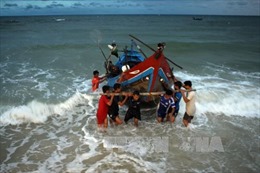 Xử lý hải sản tồn kho sau sự cố môi trường biển 