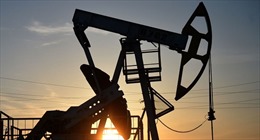 OPEC nhất trí cắt giảm sản lượng dầu mỏ