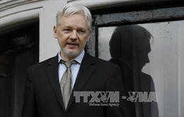 "Cha đẻ" Wikileaks có thể đòi Anh, Thụy Điển bồi thường