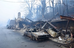 Rừng cháy rụi tại Mỹ, hơn 50 người thương vong
