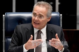 Brazil điều tra Chủ tịch Thượng viện liên quan vụ Petrobras