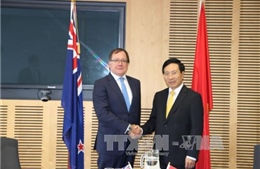 Phó Thủ tướng Phạm Bình Minh hội đàm với Ngoại trưởng New Zealand