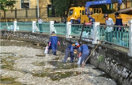  Hà Nội mở rộng phạm vi xử lý nước hồ ô nhiễm 