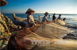 Bồ Đào Nha muốn tăng đầu tư vào kinh tế biển Việt Nam