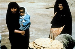Thảm kịch “hạt giống màu tím” tại Iraq